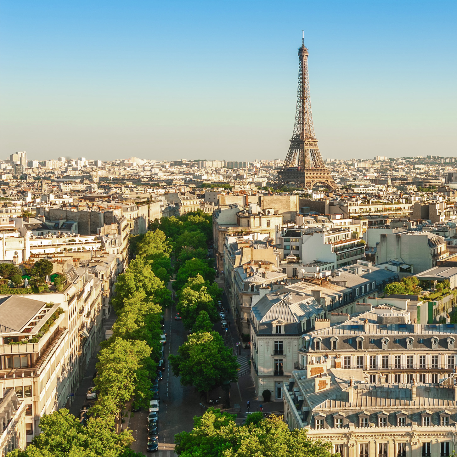 Ce n'est qu'en comprenant le marché que vous pouvez le changer